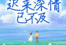 哪里能找到迟来深情已不及小说的最新更新和免费章节?-书格格
