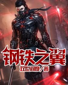 双世阎摩为主角的小说好看吗？求钢铁之翼免费试读