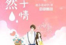 《漓然止于情》小说章节列表免费试读,秦洛璃沈卓然小说在线阅读-书格格