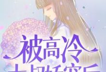 男女主人公叫 宋问盏商则寒的小说免费资源-书格格