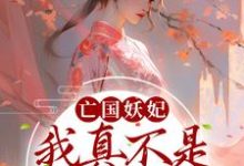 桑宁贺兰殷为主角的小说亡国妖妃,我真不是故意当祸水在线阅读-书格格