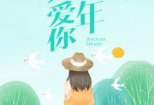 经年只爱你小说,经年只爱你免费阅读-书格格