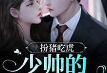 林晚音君南辰是哪本书的主角？寻找扮猪吃虎！少帅的暖床娇妻免费阅读-书格格