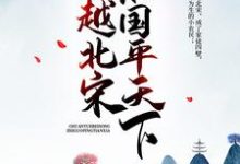 陈初六赵祯赵雅李元昊的小说在哪里看?免费在线阅读穿越北宋:治国平天下-书格格