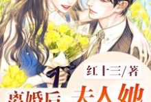 主人公叫施念萧擎寒的小说离婚后，夫人她身价千亿在线阅读章节-书格格