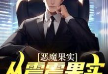 叶凡的故事在哪本书里?免费阅读恶魔果实:从震震果实开始无敌-书格格