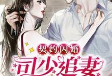 免费阅读司墨离凉念禾为主角的小说,契约闪婚:司少追妻火葬场在线看-书格格