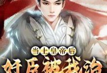 当上皇帝后,奸臣被我治的心服口服这本小说怎么样?免费在线阅读试试-书格格
