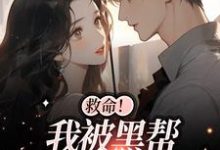 白诗如陆一璟小说叫什么(救命!我被黑帮大佬盯上了免费阅读)-书格格