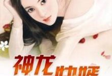 神龙快婿向兴生简欣艳,神龙快婿小说免费阅读-书格格