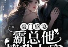 豪门盛宴:霸总他撩我上瘾苏停云沈阅川,豪门盛宴:霸总他撩我上瘾在线无弹窗阅读-书格格