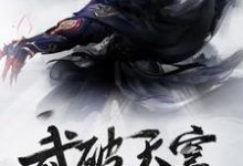 想读赵逸尘林火儿陈晨殷璃的故事,哪里可以免费找到武破天穹?-书格格