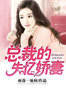 陆安浅楼钰恒的故事在哪本书里？免费阅读总裁的失忆娇妻
