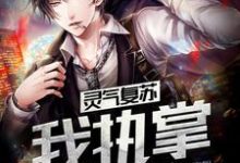 吴殇白灵灵妖姬鬼王阴司小说叫什么(灵气复苏:我执掌六道免费阅读)-书格格