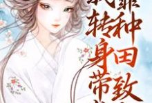小说《穿成寡妇?我转身带崽靠种田致富》章节免费阅读-书格格