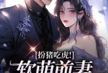 扮猪吃虎!软萌前妻拿捏他小说全文哪里可以免费看?-书格格