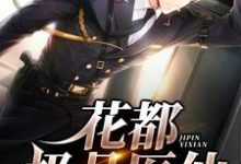 《花都极品医仙》小说主角叶欢苏婉儿章节章节免费在线阅读-书格格