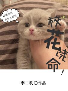 校花饶命小说完结了吗？在哪里可以免费读到？