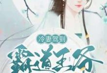 冷妻驾到,霸道王爷奈我何小说,冷妻驾到,霸道王爷奈我何免费阅读-书格格