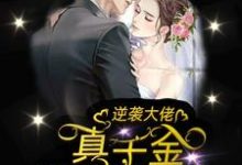 逆袭大佬:真千金她帅翻了最新章节,逆袭大佬:真千金她帅翻了免费阅读-书格格