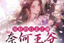 求说好的行走江湖,奈何王爷太黏人小说的全文免费阅读链接-书格格