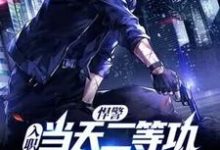 完整版的悍警:入职当天二等功,你管这叫实习生?小说在哪里可以免费读到?-书格格
