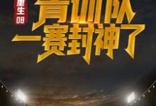 重生08:青训队一赛封神了章节免费在线阅读,韩宁格策完结版-书格格
