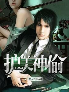 蒋帅张萌是哪本书的主角？寻找护美神偷免费阅读