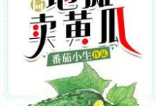 免费阅读李牧小田为主角的小说,开局地摊卖黄瓜在线看-书格格