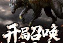 开局召唤一只二哈小说阅读,开局召唤一只二哈完结版-书格格