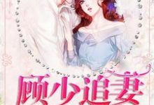 顾少追妻三十六计免费阅读，顾少追妻三十六计宁珂顾予修穆婷婷-书格格