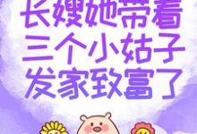 长嫂她带着三个小姑子发家致富了小说的最新章节在哪里更新?免费追踪阅读-书格格