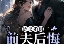 《协议婚姻:前夫后悔放我走》小说大结局免费试读 沈识微萧寒声小说-书格格