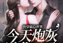 小说《快穿霸总世界：今天炮灰逆袭了吗》章节免费阅读-书格格