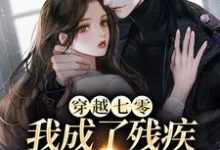 乔念瑶宋青锋小说《穿越七零:我成了残疾丈夫的心尖宠》在线阅读-书格格