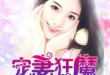 宠妻狂魔雷紫潇云子狂雷天娇夏蓝小说免费阅读-书格格