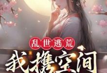 乱世逃荒:我携空间吃香喝辣小说最新更新在哪里?免费在线看-书格格