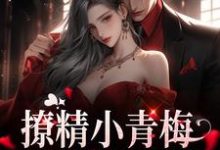 已完结小说《撩精小青梅:竹马队长超宠》最新章节-书格格
