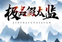 极品假太监小说有没有完结版在线?-书格格