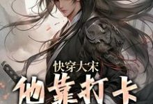 免费阅读赵子奕为主角的小说,快穿大宋:他靠打卡领取奖励在线看-书格格