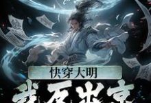 哪里可以免费读到苏白朱元璋的完整故事？寻找快穿大明：我反出京师对抗皇帝-书格格