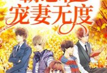已完结小说《一见钟情:霸总他宠妻无度》章节在线阅读-书格格