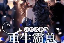 开局火葬场，重生霸总追妻路漫漫小说有没有完结版在线？-书格格
