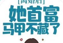 哪里可以免费读到秦酒薄司年的完整故事?寻找离婚后,她首富马甲不藏了-书格格