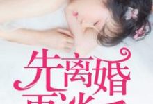 先离婚,再谈爱小说完结版章节免费阅读-书格格