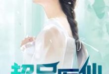 陈正蓝玲的小说在哪里看?免费在线阅读超品医仙-书格格
