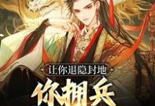 免费在线阅读让你退隐封地,你拥兵杀入长安?小说的正规网站有哪些?-书格格