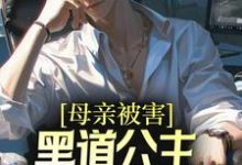 哪里可以免费读到刘斌张璐的完整故事？寻找母亲被害，黑道公主扶我登高位-书格格