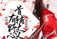 将本红妆 :首辅大人有野心(凤昔颜萧拾州)在线免费阅读-书格格