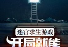 周晨叶诗诗的小说在哪里看?免费在线阅读迷宫求生游戏:开局就能看到提示-书格格